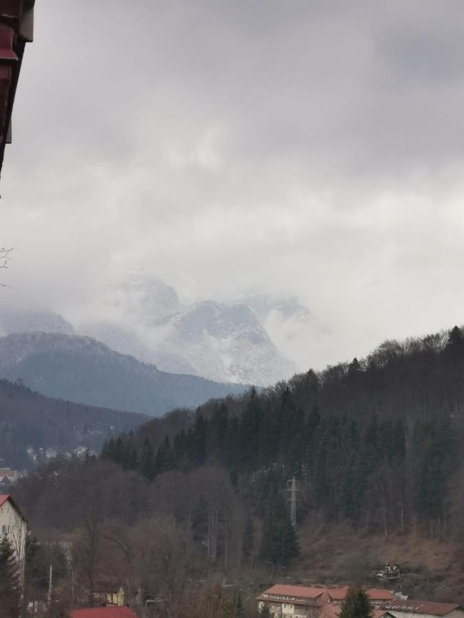 Apartament Panoramic View Sinaia Apartamento Exterior foto